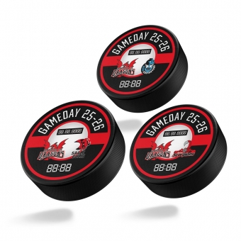 Ice Dragons - Puck - Spieltag - 2025-26