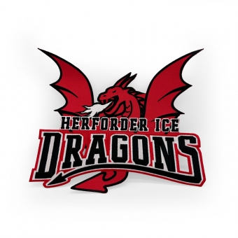 Ice Dragons - Aufnäher 25cm - Logo