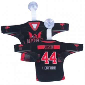 Ice Dragons - Minitrikot - 2024-25