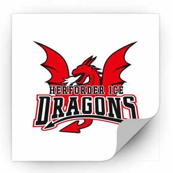 Ice Dragons - Aufkleber quadratisch - Logo groß