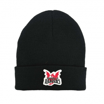 Ice Dragons - Bronx Beanie - Krempe - Rubber-Patch