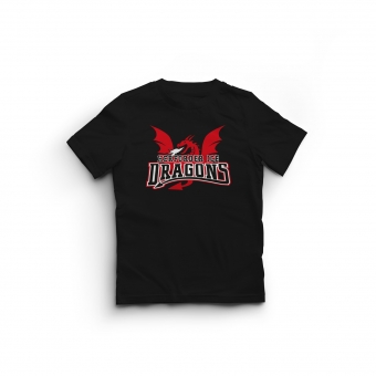 Ice Dragons - Kinder T-Shirt - schwarz - Logo